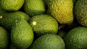 Quali sono le necessità di un albero di avocado?