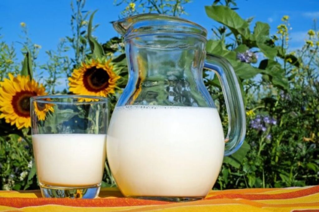 latte per le piante