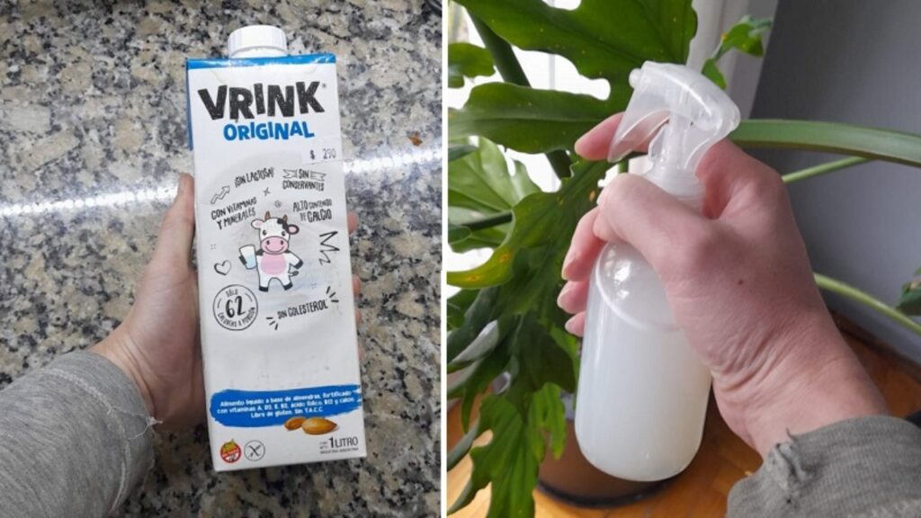 i benefici del latte per le piante