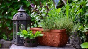 Piante aromatiche: 5 ragioni per coltivarle sul balcone