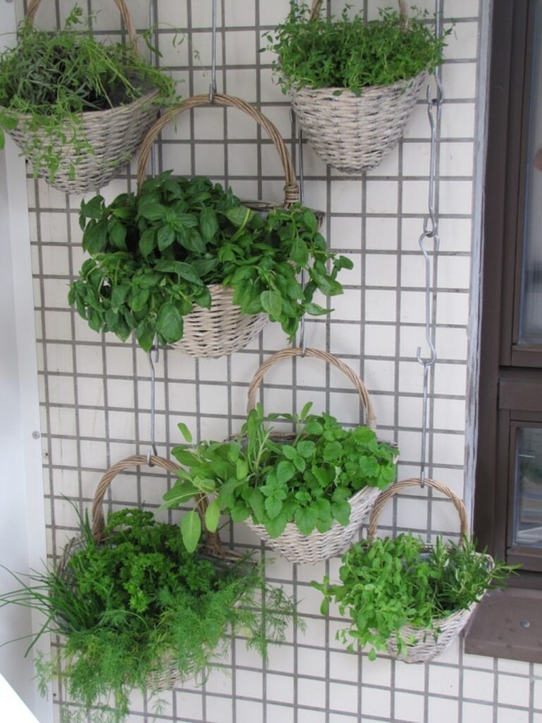 piante aromatiche sul balcone giardino verticale