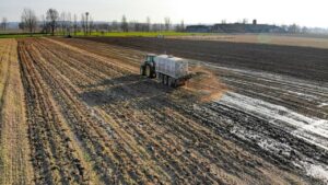 Come usare il concime stallico per un terreno nutrito e piante rigogliose