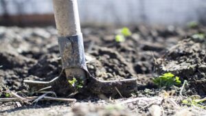 Come rimettere in sesto l’orto dopo l’estate e prepararlo per la successiva primavera