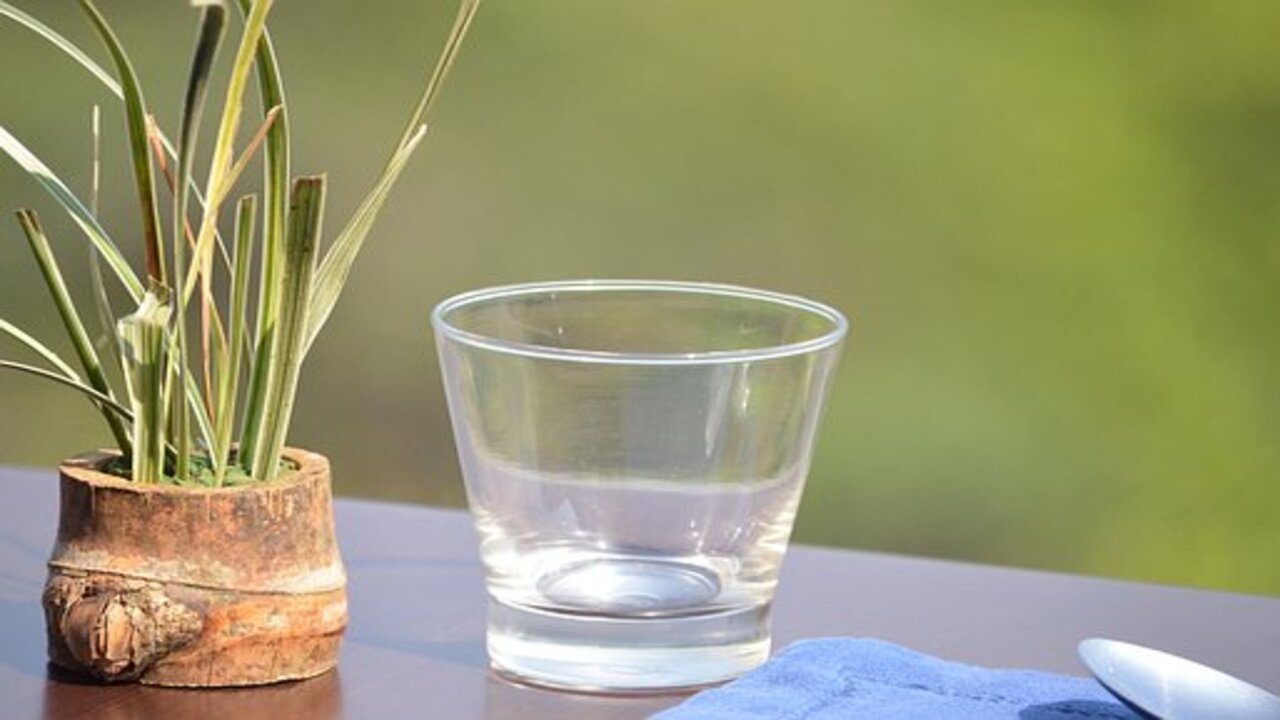 bicchiere pianta
