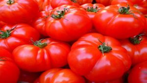 Pomodoro nero nella parte inferiore: cause e rimedi