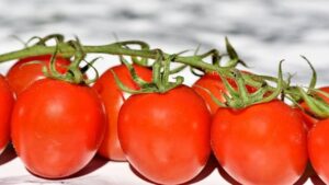 Buccia del pomodoro spaccata: cause e soluzioni