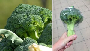 Non commettere questo errore: non comprare i broccoli già tagliati