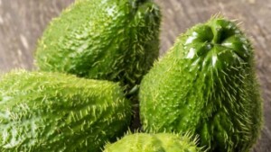 Si chiama chayote o patata volante ma pochi sanno cos’è e perché dovremo consumare quest’ortaggio