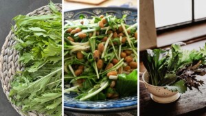 Sembra rucola ma non lo è, si tratta di una pianta giapponese chiamata Mizuna che tutti dovrebbero consumare