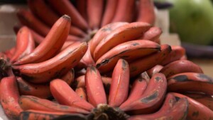 Sapevate che le banane non sono tutte gialle o verdi: ecco 7 benefici della banana rossa