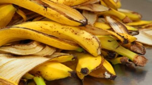 Mangiamo le banane e buttiamo sempre via le loro bucce: 9 motivi per non farlo più