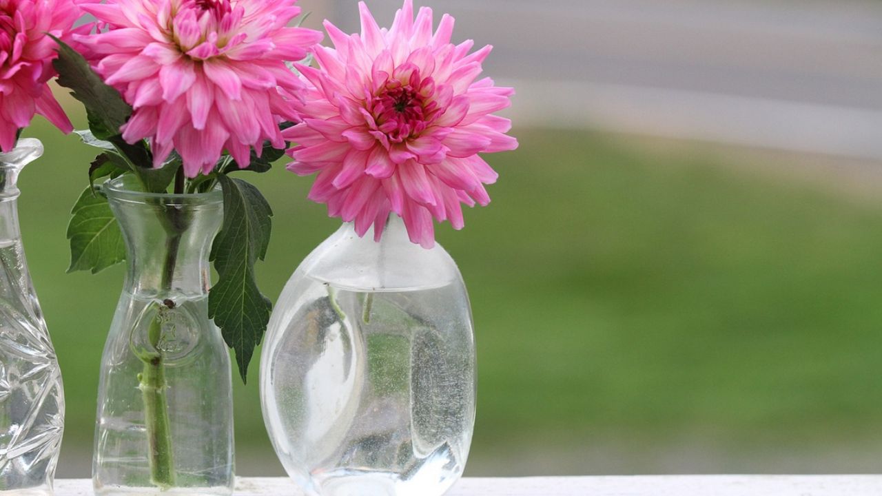 fiori ne vasi trasparenti