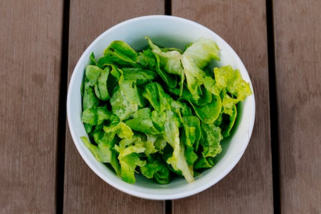 coltivare insalata: cibo ottimo