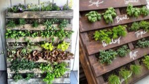 Come creare un giardino verticale sul proprio balcone a costo zero: ecco da dove iniziare e cosa fare