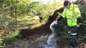 Metodo per prendersi cura del proprio angolo verde con dello zucchero bianco