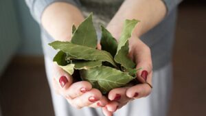 Guarda cosa accade se metti 2 foglie di alloro e un po’ di bicarbonato: nessuno se lo aspetta