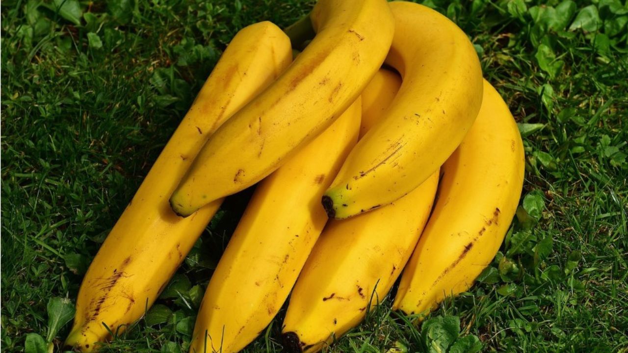 banane gialle sul prato