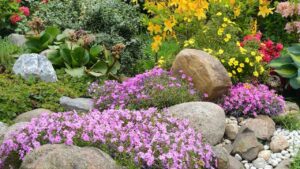 Ricreare un paesaggio naturale a casa tua: ecco come realizzare un fantastico giardino roccioso