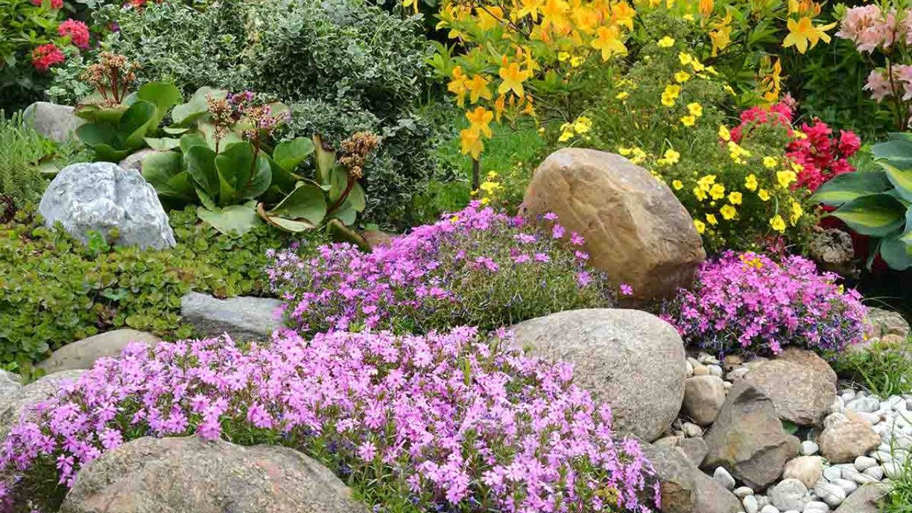 Giardino roccioso fiorito