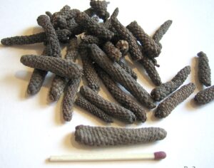 Long Pepper: tutto quello che non sapevi sulla spezia nota come pepe lungo