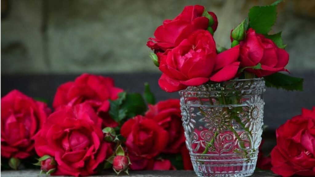 rose rosse in un vaso