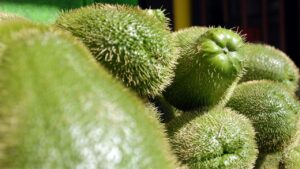 In Italia c’è chi la chiama zucchina spinosa e chi zucca centenaria: tutto quello che dovremmo sapere sul Chayote