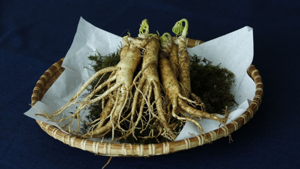 radice di ginseng in un cesto