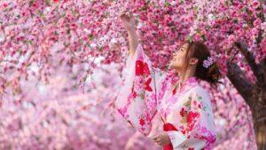 Fioritura dei ciliegi: cos’è l’Hanami, tra tradizione e antichi significati