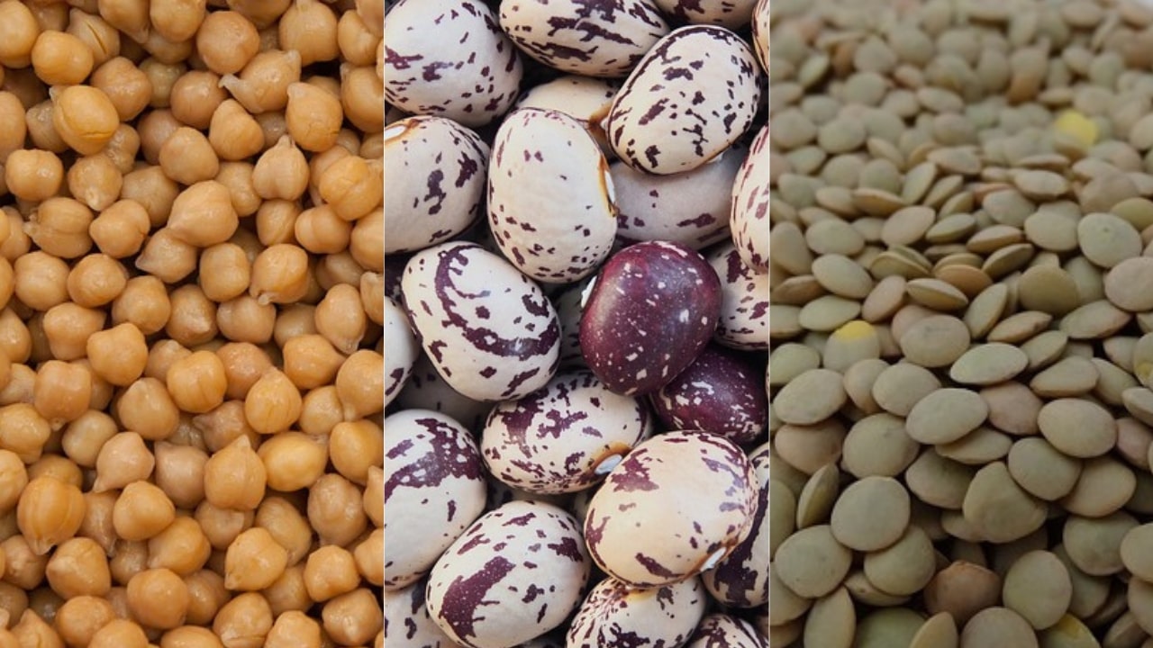 la scelta del legume preferito