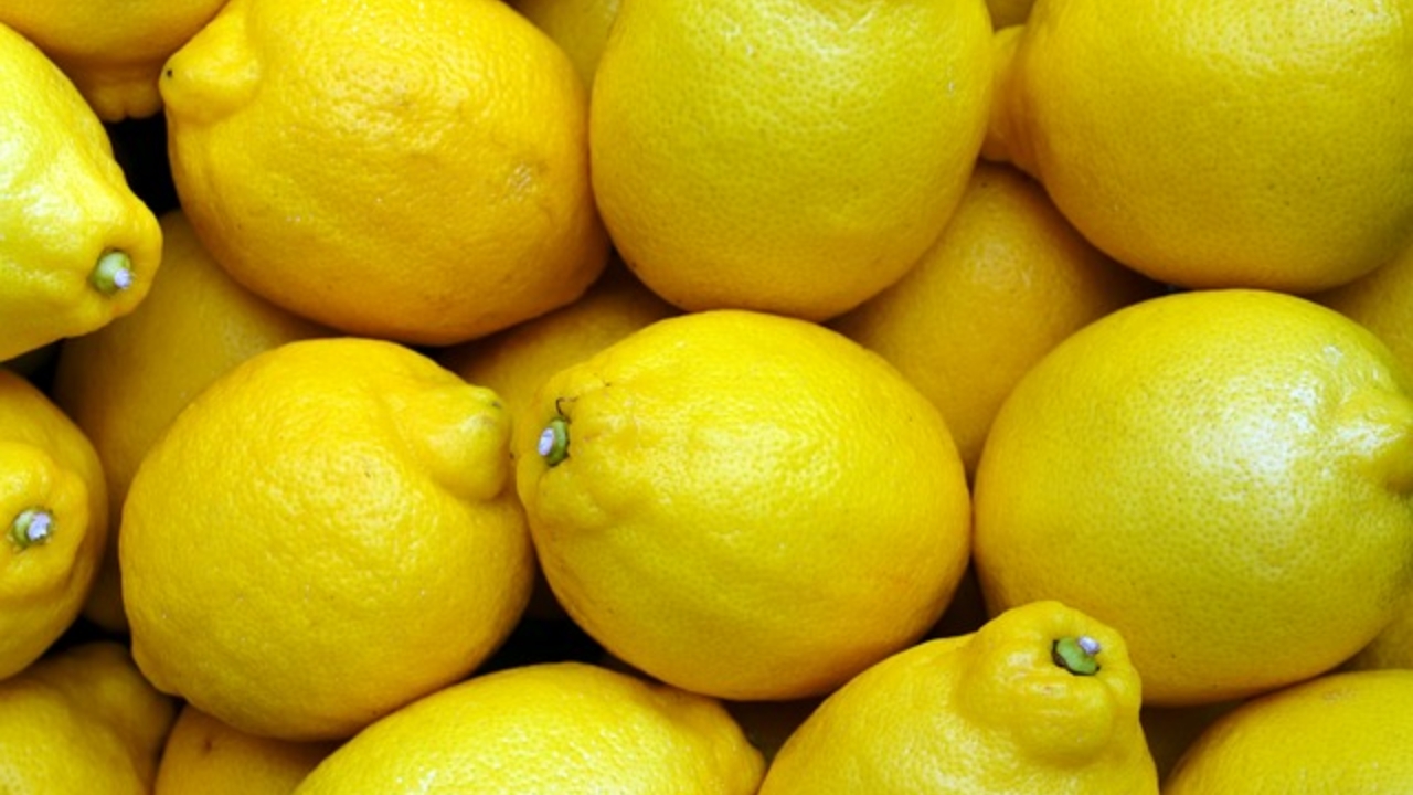 limoni raccolti