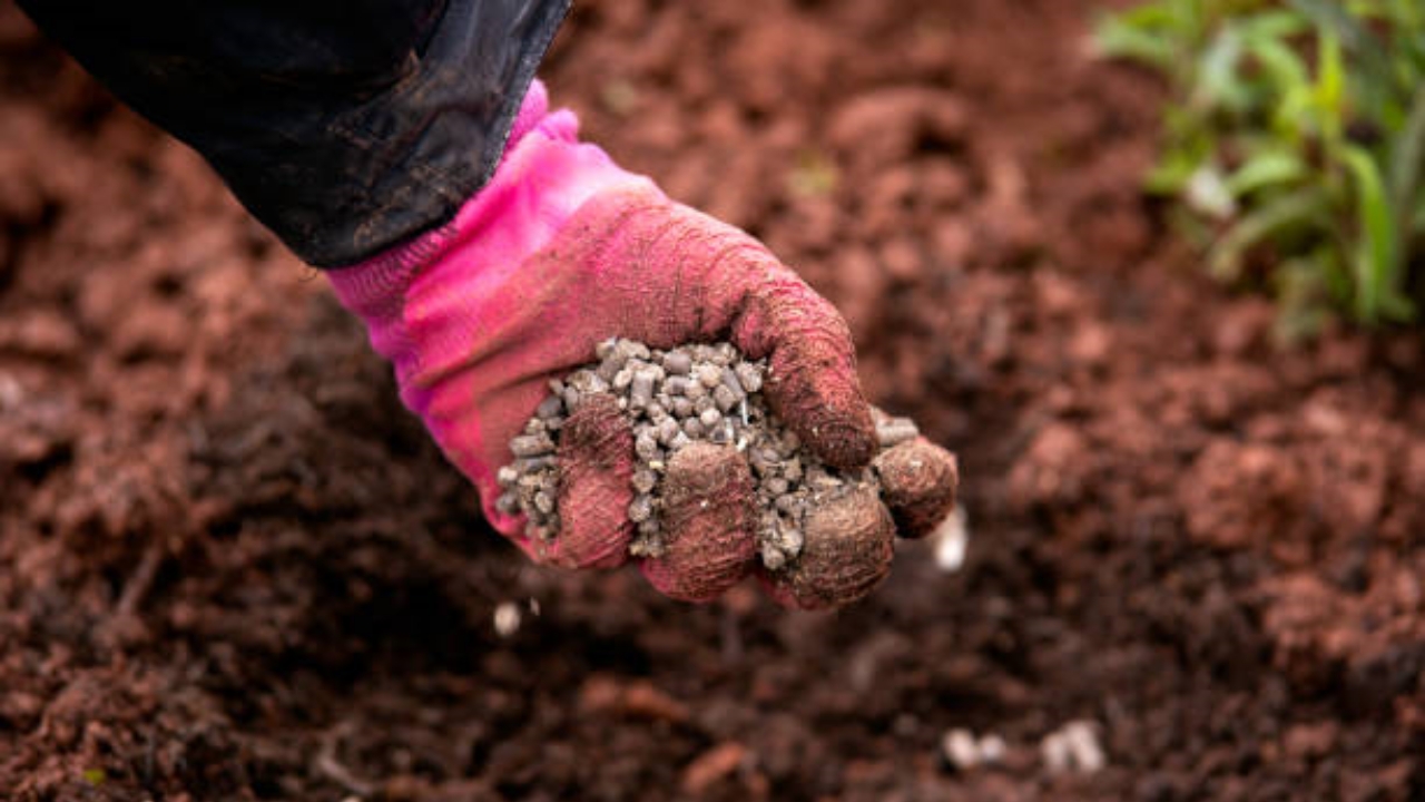 fertilizzante naturale