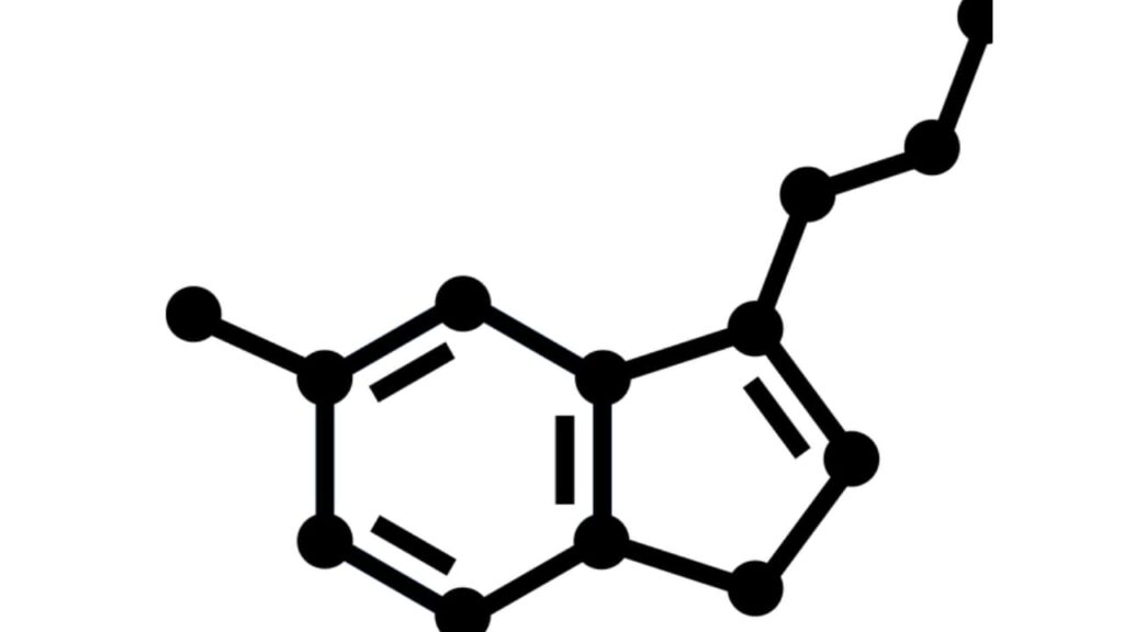 Serotonina molecola