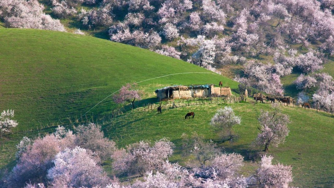 Valle di Yili