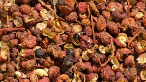 Szechuan pepper: tutto quello che volevi sapere sulla spezia nota come pepe del Sichuan