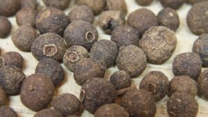 Allspice: come coltivare con successo il pimento o pepe della Giamaica