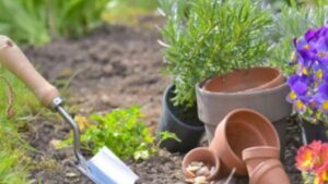 Il bicarbonato nel giardinaggio: 7 metodi infallibili per mantenere il verde