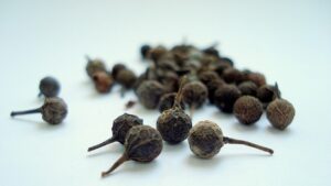 Cubeb: tutto quello che volevi sapere sulla spezia nota come pepe di Giava