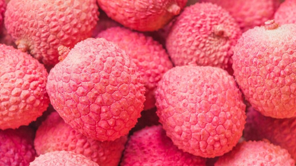 litchi