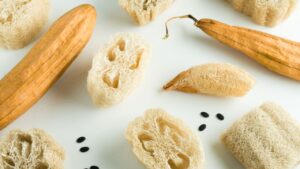 Luffa: ecco gli usi tradizionali e come ricavare una spugna vegetale