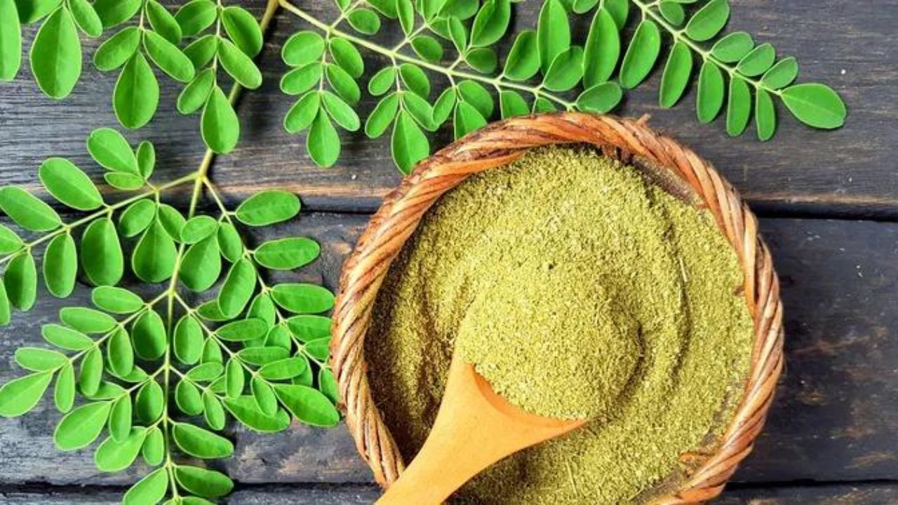 Moringa in polvere