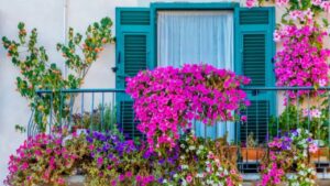 Decorare un terrazzo con le piante: come creare una piccola oasi di verde