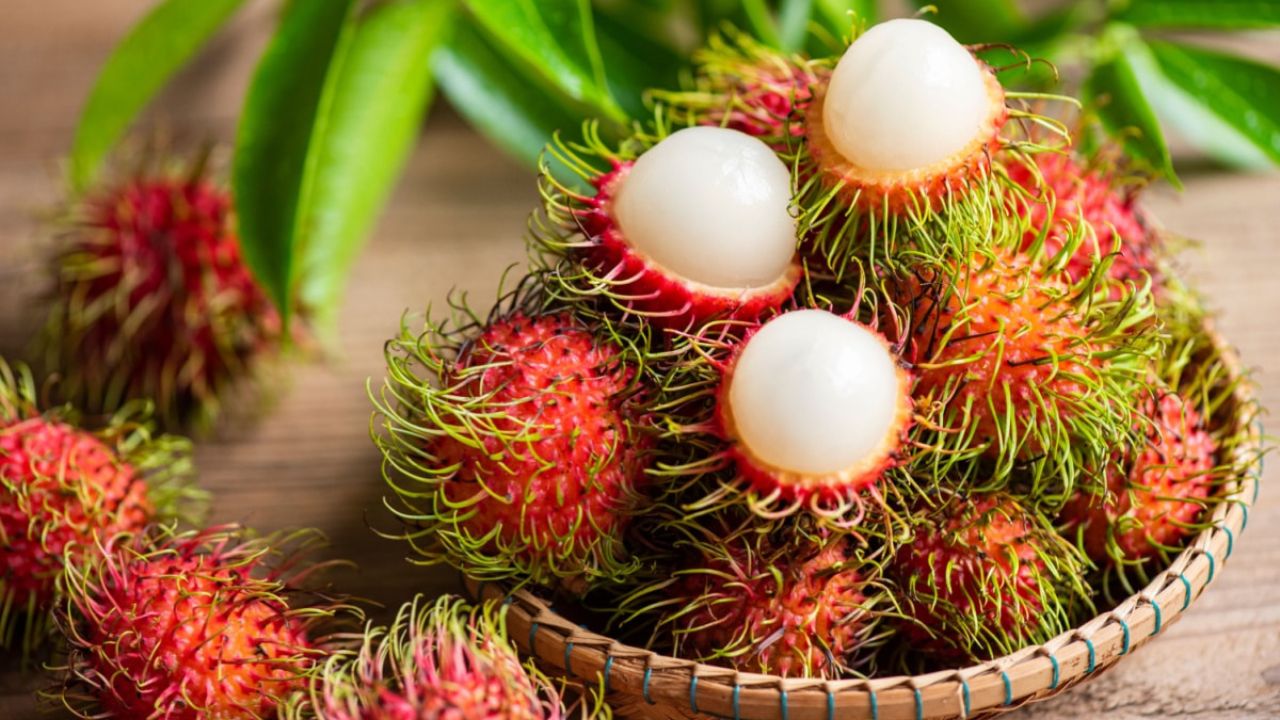 Rambutan