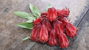 Roselle: tutto quello che volevi sapere su questa pianta aromatica nota come malva africana