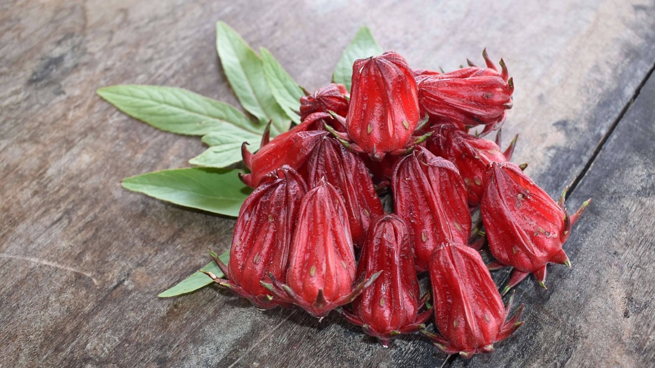 roselle fiori