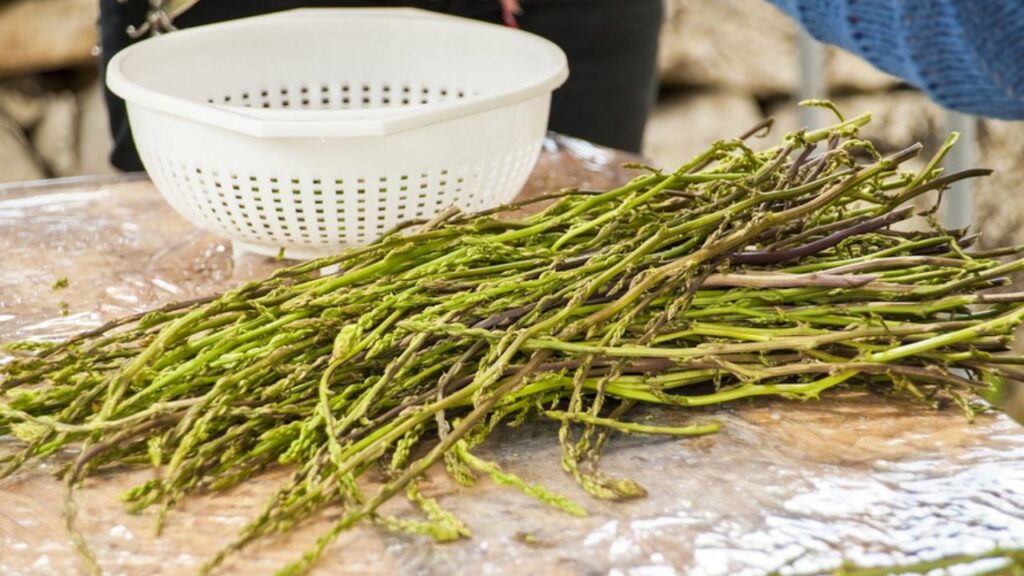 asparagi disposti su un tavolo