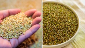 Scopriamo insieme cosa è il freekeh, un valido sostituto del riso noto anche come “grano verde”