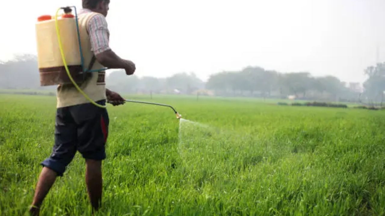 fertilizzante con compressa