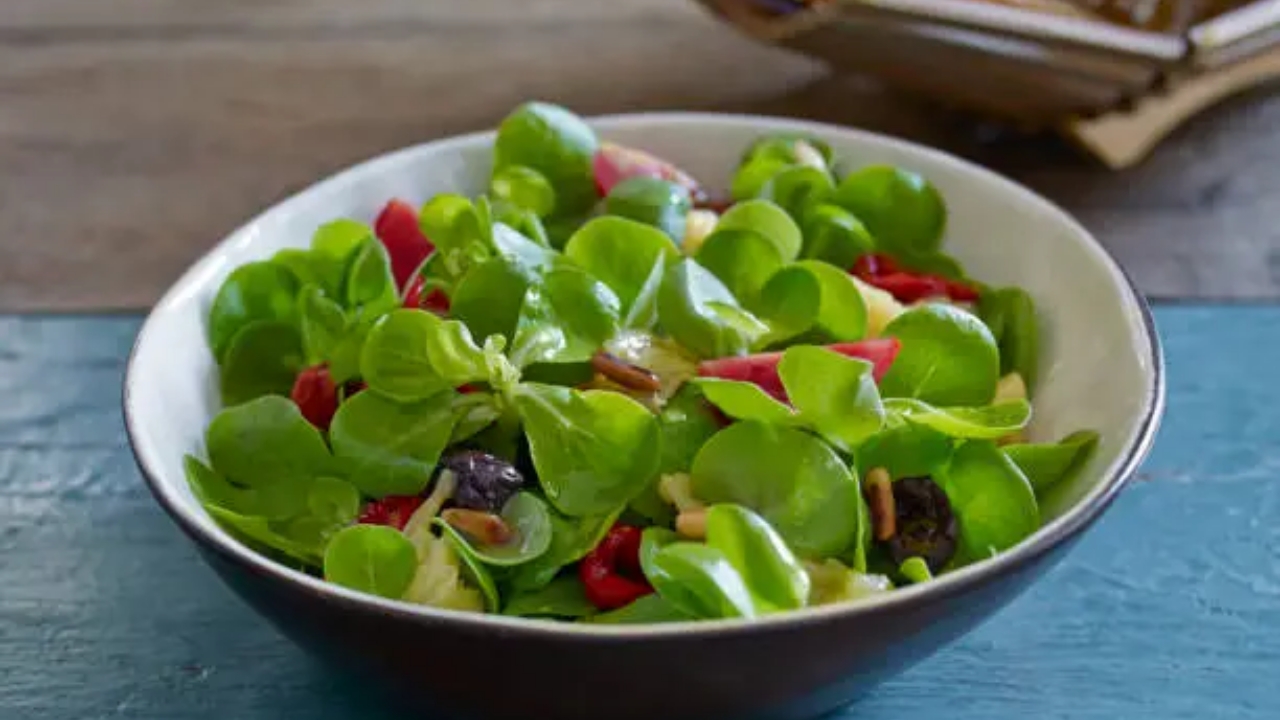 portulaca in insalata