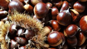 Castagne e marroni: tutte le differenze per distinguerle e non sbagliare