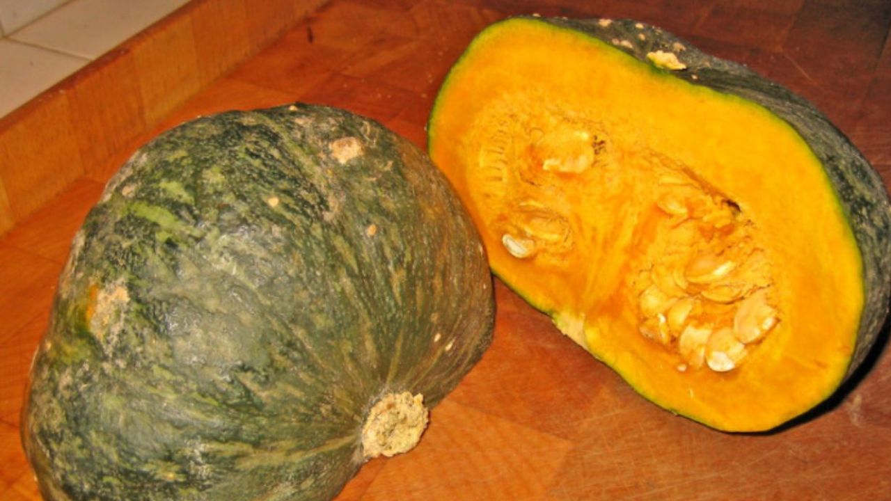 zucca con buccia verde